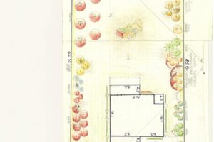 Dārzu plānošana, projektēšana